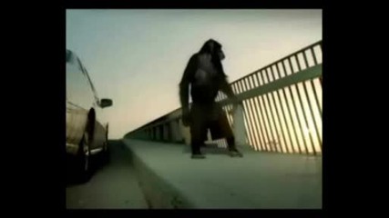 Маймуна В Багажника Реклама