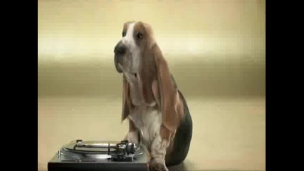 Куче Beatboxer 