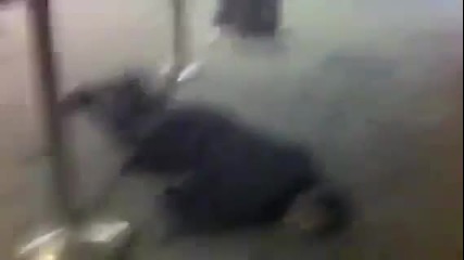 видео на очевидец от летището - Домодедово
