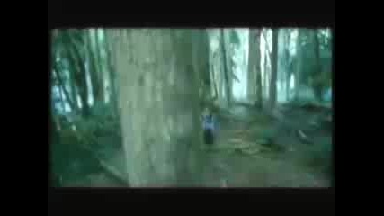 Breaking Dawn - 30 minutes