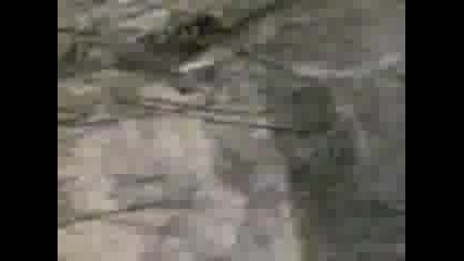 kaspichan