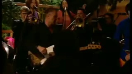 Sting - Brand New Day