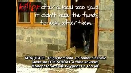 Жена живее с лъвове