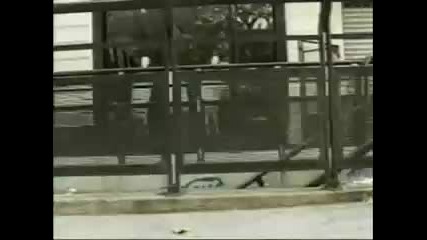 Pro Skateboarding Montage