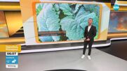 Прогноза за времето (12.05.2025 - сутрешна)