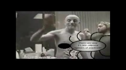 System Of A Down - Making Of Spiders