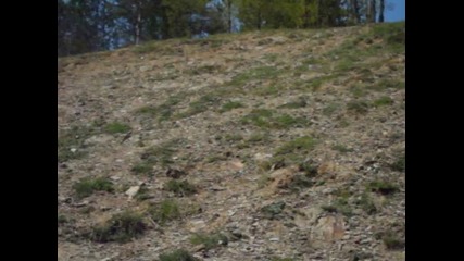 Ябланица 2010