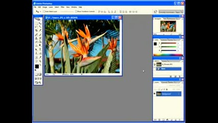 Photoshop Cs2 Tutorial Chapter 1
