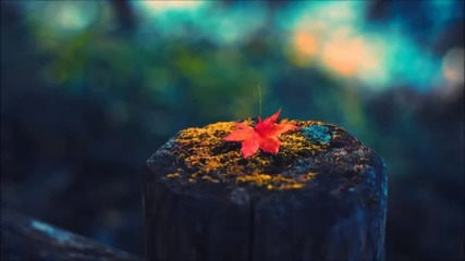 Lapse - Left Behind (hyroglifics Remix)