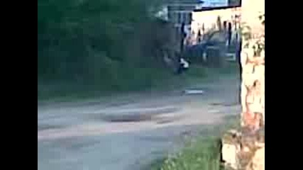 Котка прави масаж на куче