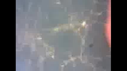 Video012