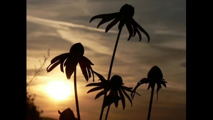 Blank & Jones - City Of Angels