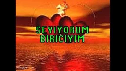 Biliyorum Biricim - sahin 