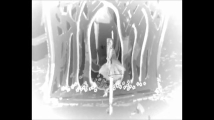Creepy Music Box Reversed