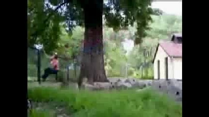 Брутални Пребивания