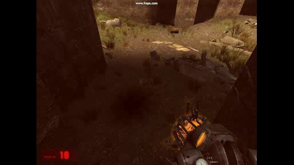 half life
