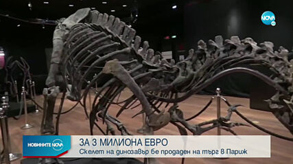 Продадоха скелет на динозавър за над 3 млн. евро