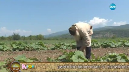 "На кафе" на живо от Копиловския манастир (20.07.2017)