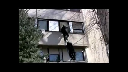Хърватски - специални части