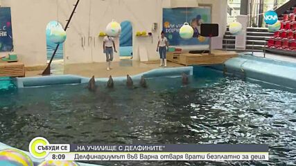 Делфинариумът във Варна със специални изненади по случай първия учебен ден
