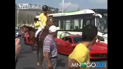 Кон мрази Ферари - голям смях !