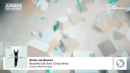 Armin van Buuren feat. Cindy Alma - Beautiful Life