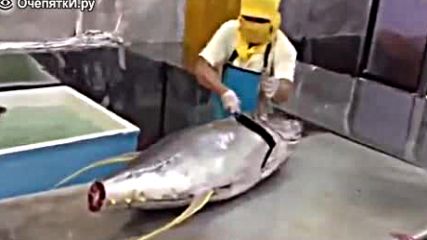 Разфасоване на огромна риба тон със замах!