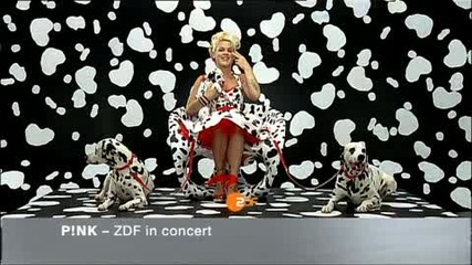 Pink - Zdf - Ident Pink 2008 #2