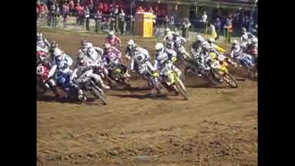Sevlievo 2010