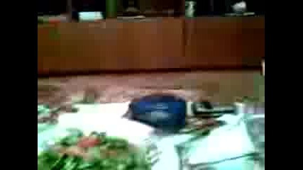 Видео003.3gp