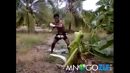 Как се секат дърва в Тайланд
