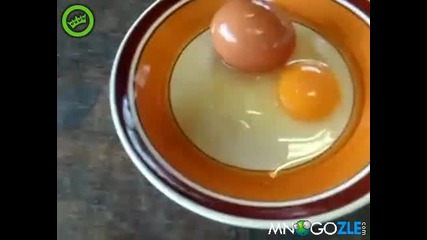 Яйце в яйце