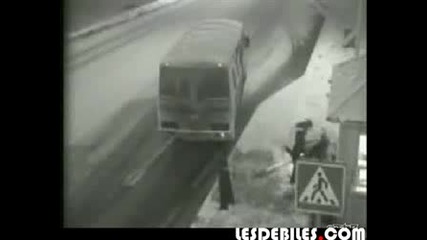 Последствията От Поледиците