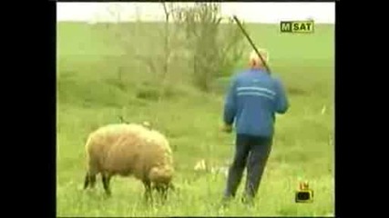 Господари на Ефира - селянин