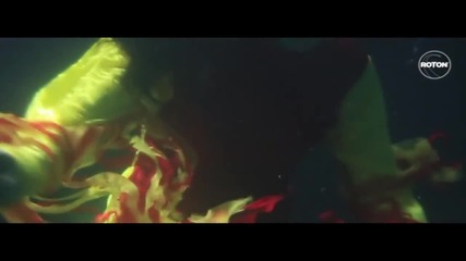 Stroke 69 - Black Rose (official Video)