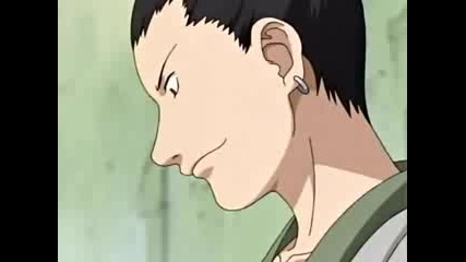 Shikatema - Miracle(forever) 
