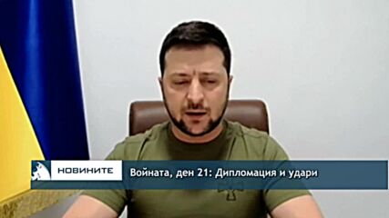 Войната, ден 21: Дипломация и удари