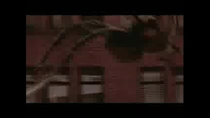 Spider - Man - Music Video 