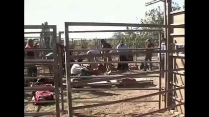 What happens at the cooktown rodeo 