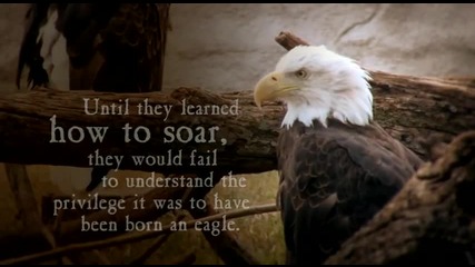 Bg Sub Even Eagles Need A Push 