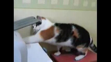смях - Котката срещу принтера 