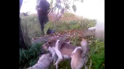 Video - 0021