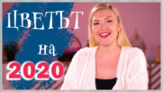 Кой е ЦВЕТЪТ на 2020 и как да го използваме?