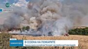 Новините на NOVA NEWS (20.07.2025 - 20:00)