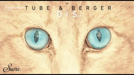 Tube And Berger And Robosonic - Dis Track ( Original Mix)