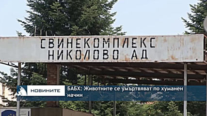 БАБХ: Животните се умъртвяват по хуманен начин