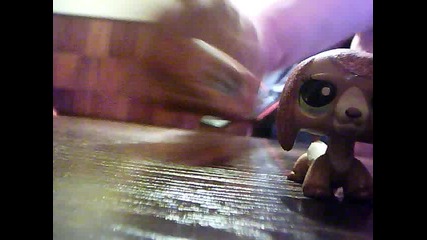 za lps_2005