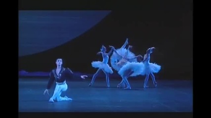 Swan lake Paris Opera 33