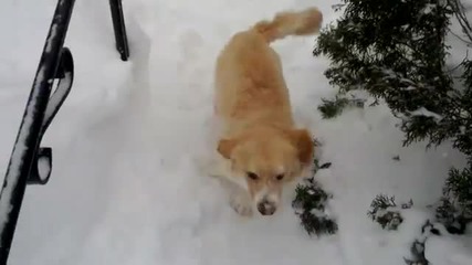 много сняф :d