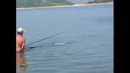 Риболов на амур